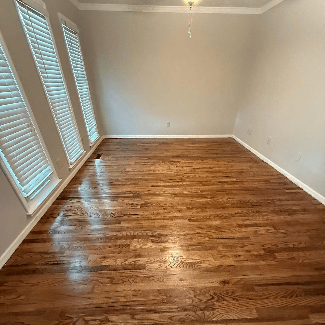 Freshly painted living room